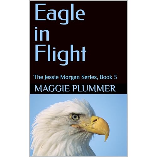 Cover of Eagle in Flight