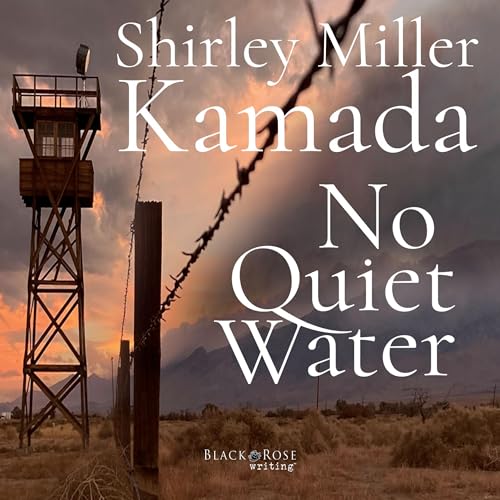 Cover of No Quiet Water