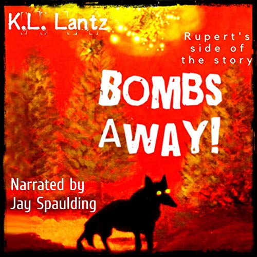 Cover of Bombs Away!