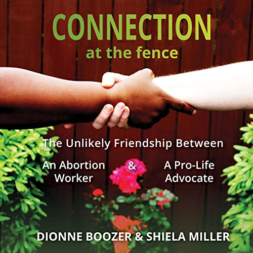Cover of Connection at the Fence