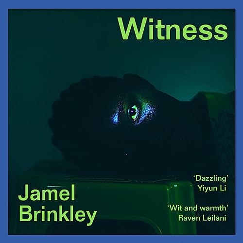 Cover of Witness