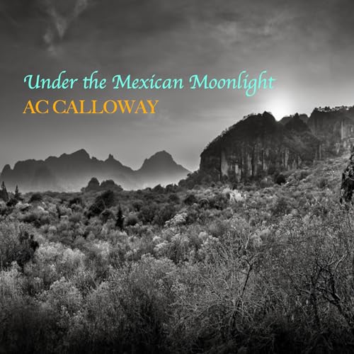 Cover of Under the Mexican Moonlight