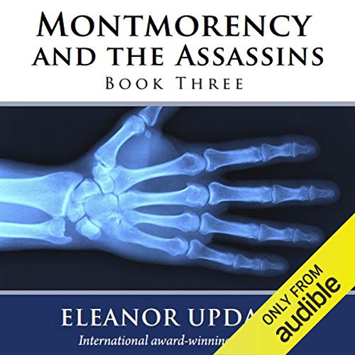 Cover of Montmorency and the Assassins