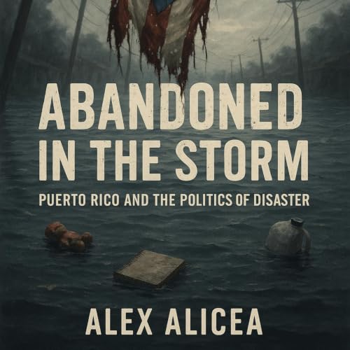 Cover of Abandoned in the Storm