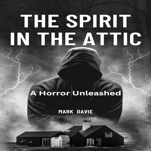 Cover of The Spirit in the Attic