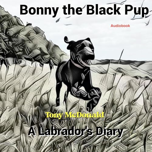 Cover of Bonny the Black Pup