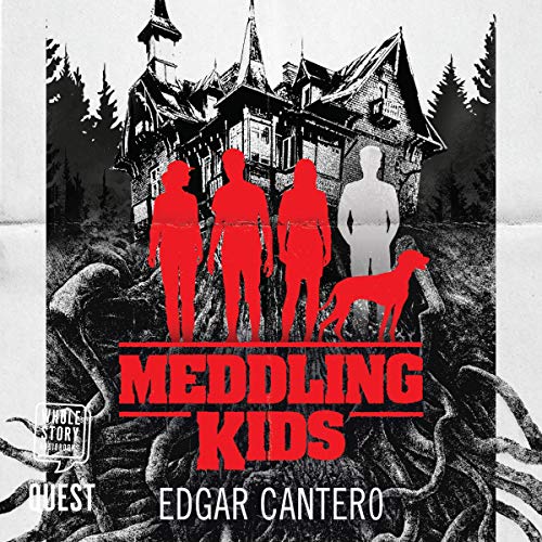 Cover of Meddling Kids