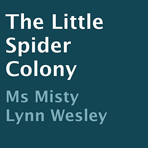 Cover of The Little Spider Colony