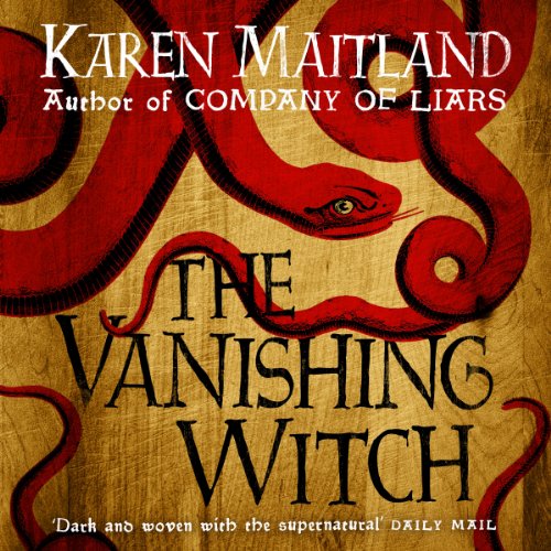 Cover of The Vanishing Witch