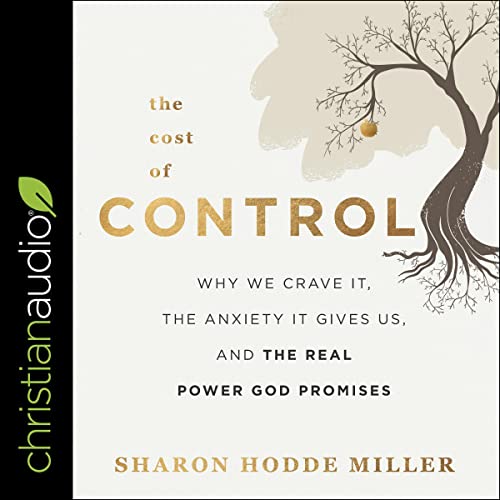 Cover of The Cost of Control