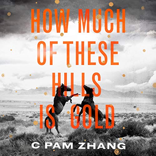 Cover of How Much of These Hills Is Gold