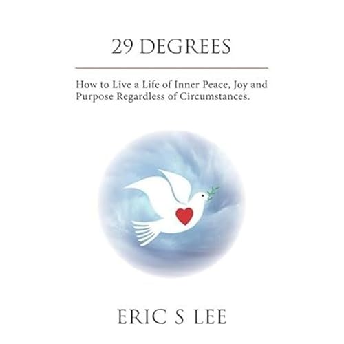 Cover of 29 Degrees
