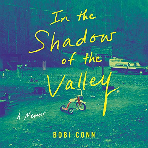 Cover of In the Shadow of the Valley