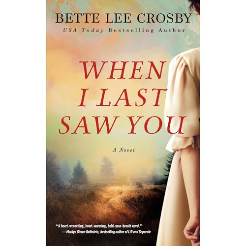 Cover of When I Last Saw You