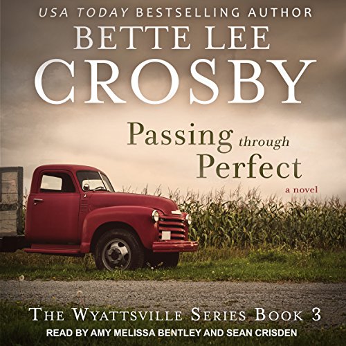 Cover of Passing Through Perfect