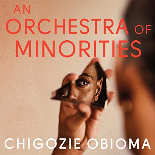 Cover of An Orchestra of Minorities
