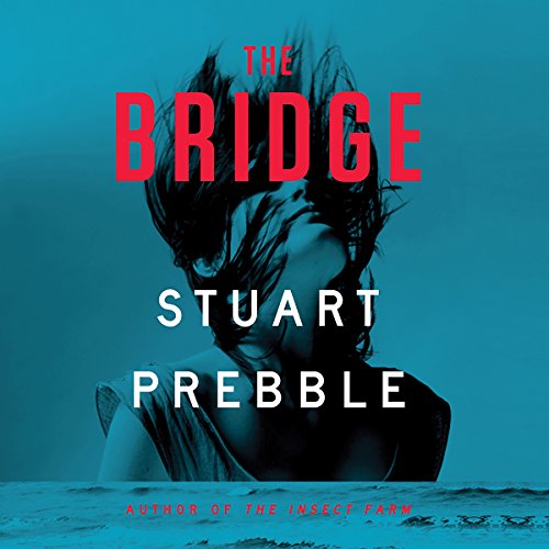 Cover of The Bridge