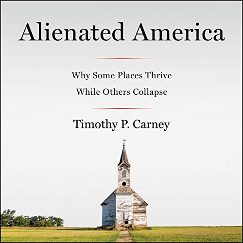 Cover of Alienated America