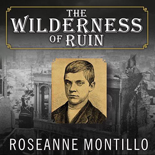 Cover of The Wilderness of Ruin