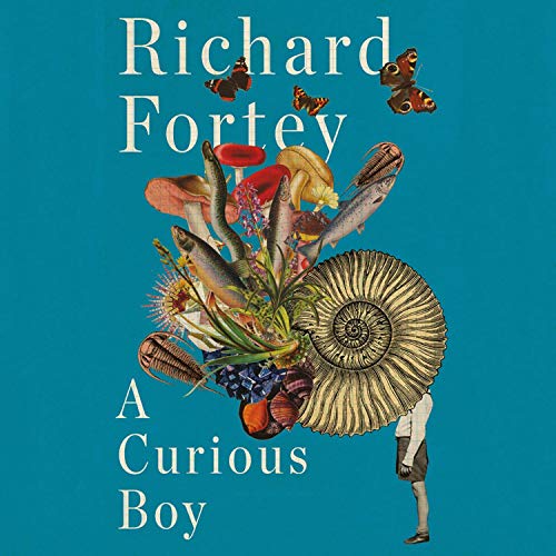 Cover of A Curious Boy