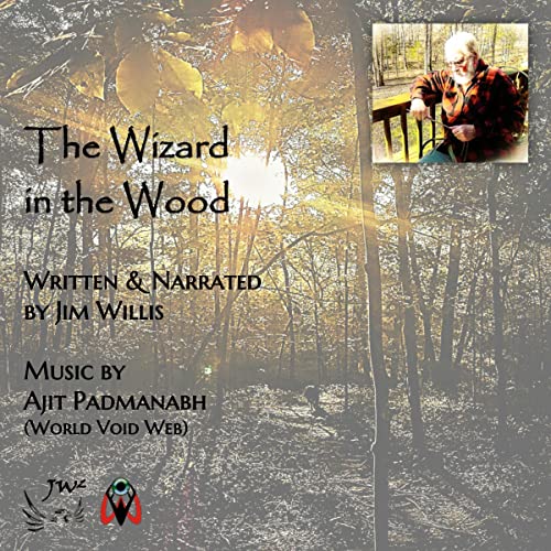 Cover of The Wizard in the Wood