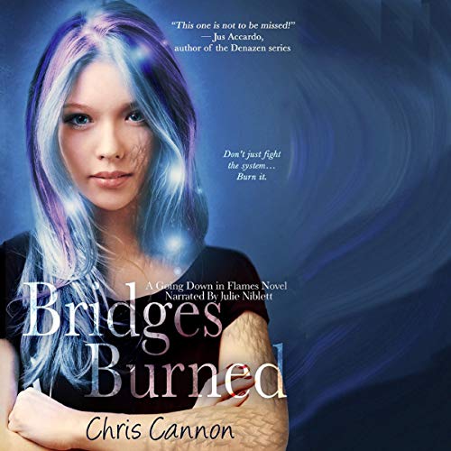 Cover of Bridges Burned