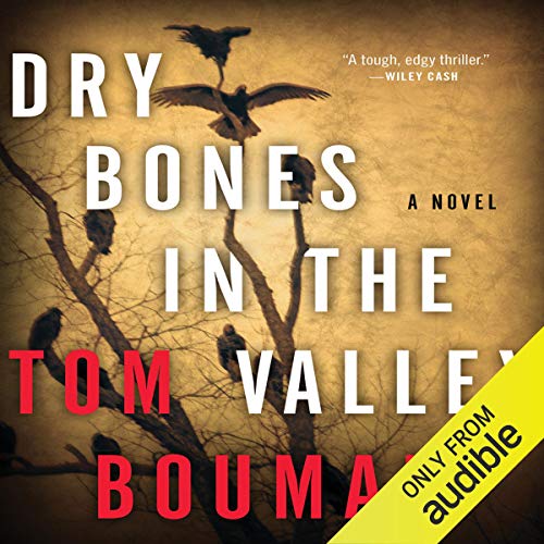 Cover of Dry Bones in the Valley