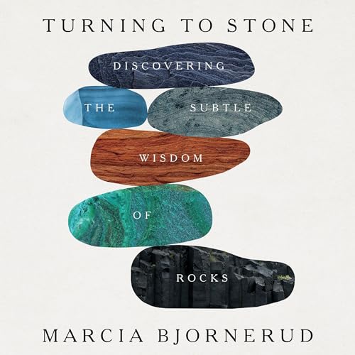 Cover of Turning to Stone