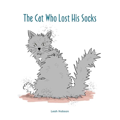 Cover of The Cat Who Lost His Socks