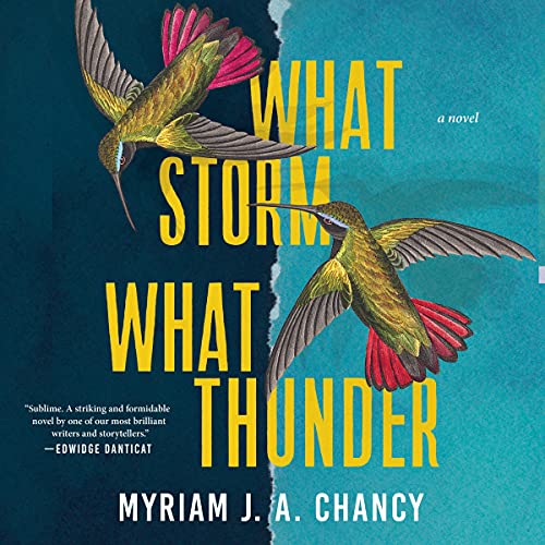Cover of What Storm, What Thunder