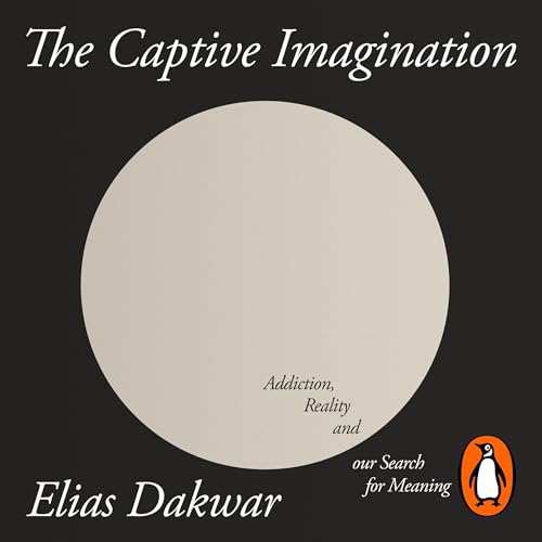 Cover of The Captive Imagination