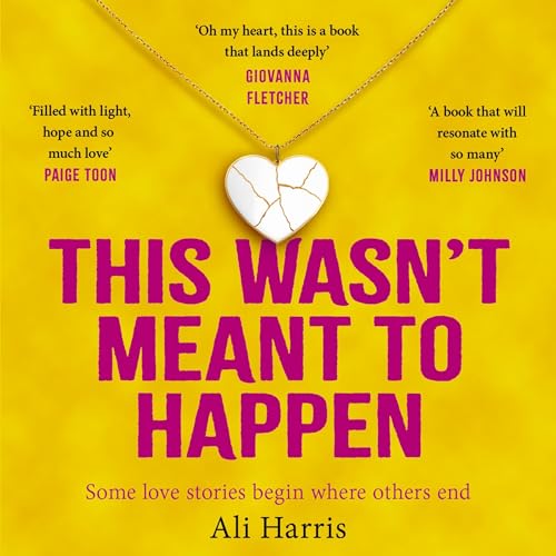 Cover of This Wasn't Meant to Happen
