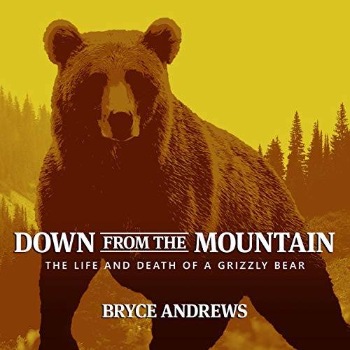 Cover of Down from the Mountain