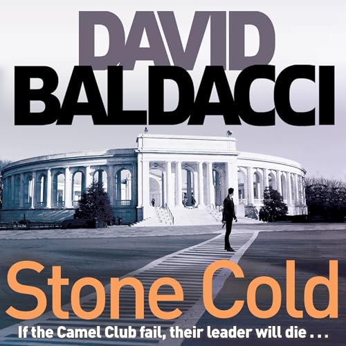 Cover of Stone Cold: The Camel Club Book 3