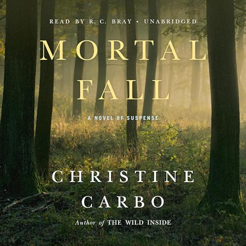 Cover of Mortal Fall