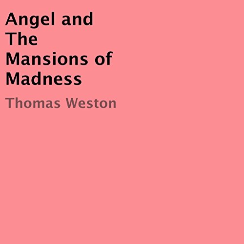 Cover of Angel and the Mansions of Madness