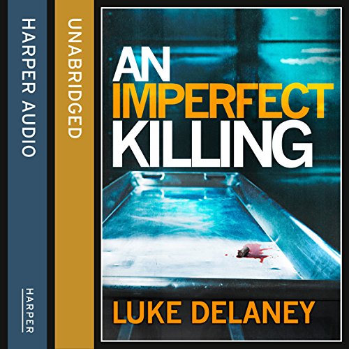 Cover of An Imperfect Killing