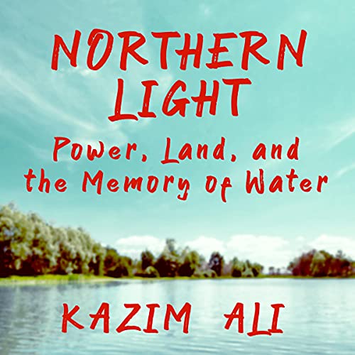 Cover of Northern Light