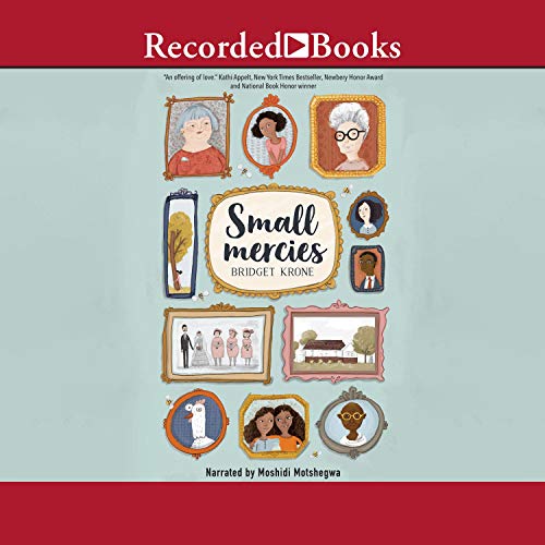 Cover of Small Mercies