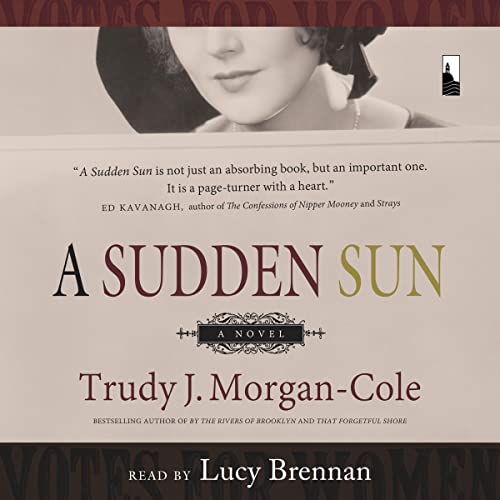 Cover of A Sudden Sun