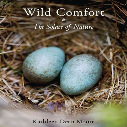 Cover of Wild Comfort