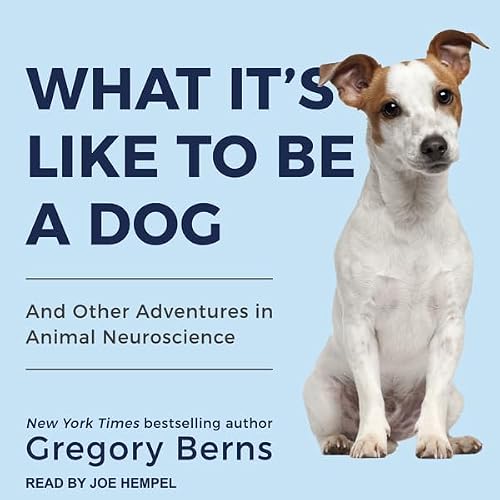 Cover of What It's Like to Be a Dog