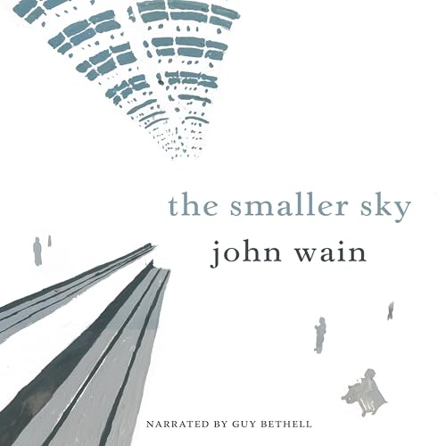 Cover of The Smaller Sky