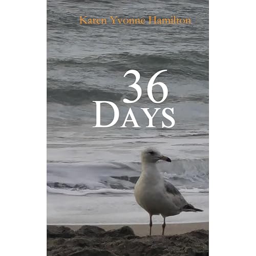 Cover of 36 Days