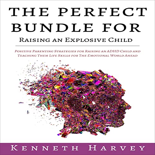 Cover of The Perfect Bundle for Raising an Explosive Child