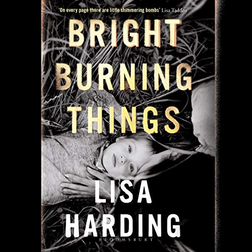 Cover of Bright Burning Things