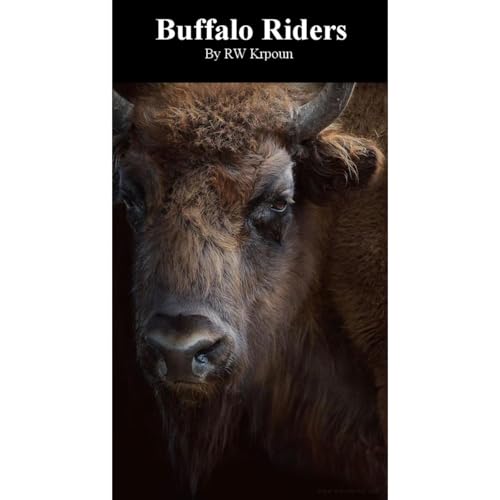 Cover of Buffalo Riders