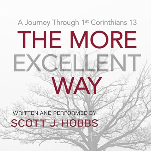 Cover of The More Excellent Way