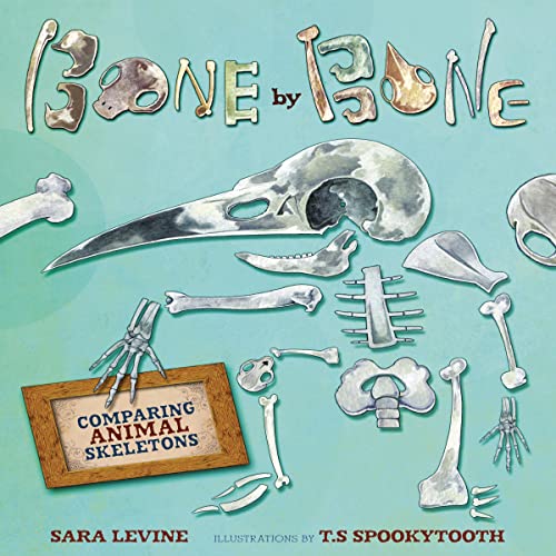 Cover of Bone by Bone: Comparing Animal Skeletons