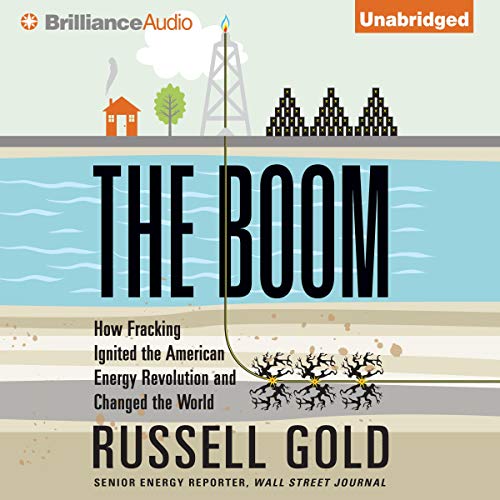 Cover of The Boom
